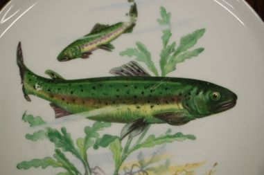 (n-7354) CP Colditz, kalataldrikud, 6tk