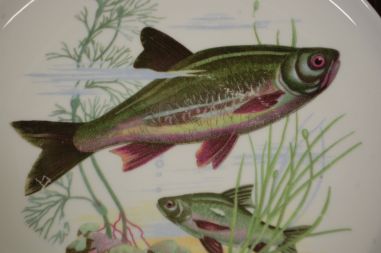 (n-7354) CP Colditz, kalataldrikud, 6tk