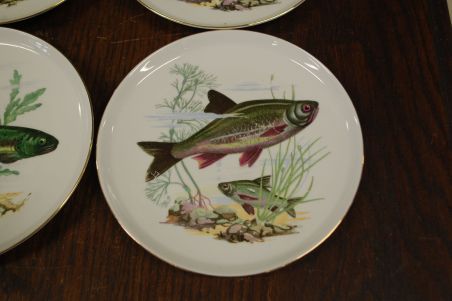 (n-7354) CP Colditz, kalataldrikud, 6tk (n-7354) CP Colditz, kalataldrikud, 6tk