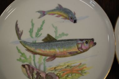 (n-7354) CP Colditz, kalataldrikud, 6tk