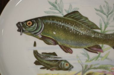 (n-7359) CP Colditz, kalataldrikud, 4tk