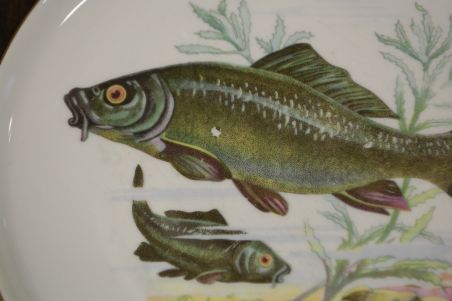 (n-7359) CP Colditz, kalataldrikud, 4tk