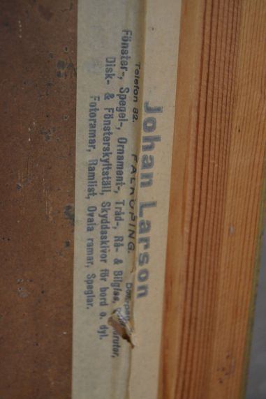 (n-7401) Suurem rannikuvaade, 1919