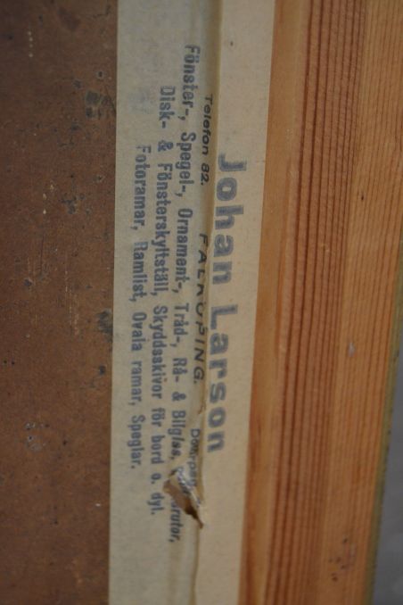 (n-7401) Suurem rannikuvaade, 1919