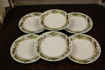 (n-7404) CP Colditz, kalataldrikud, 6tk