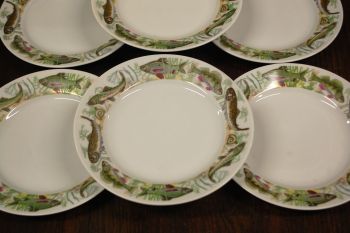 (n-7404) CP Colditz, kalataldrikud, 6tk 2