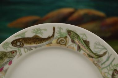 (n-7404) CP Colditz, kalataldrikud, 6tk