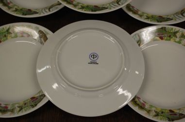 (n-7404) CP Colditz, kalataldrikud, 6tk