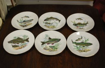 (n-7353) Kahla, kalataldrikud, 6tk