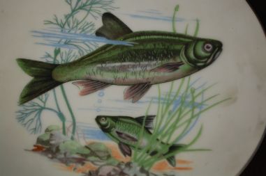 (n-7414) Ena Pottery, kalataldrikud, 6tk