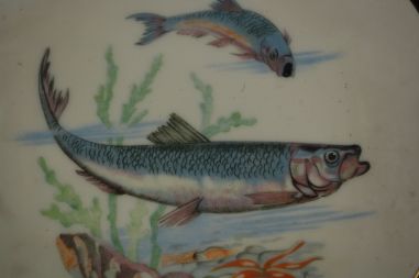 (n-7414) Ena Pottery, kalataldrikud, 6tk