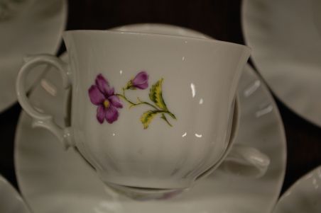 (n-7421/1) Bavaria Wunsiedel R Porcelaine, kannikestega kohvitassid-taldrikud, 6tk