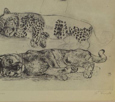 (P-1055) Viiralt, trükirepro Puuma ja panter