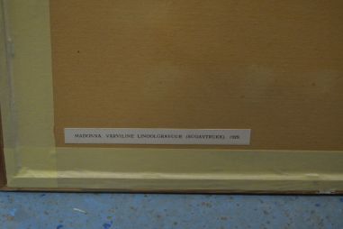 (P-1079) Viiralti trükirepro Madonna