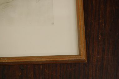 (P-1081) Viiralt. trükirepro Noor berberlanna