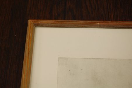 (P-1081) Viiralt. trükirepro Noor berberlanna