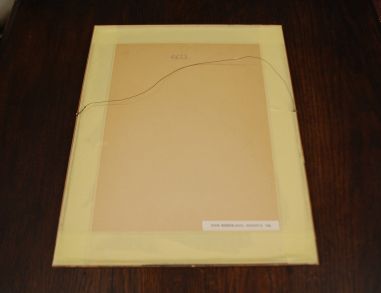 (P-1081) Viiralt. trükirepro Noor berberlanna