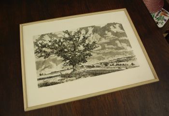 (P-1085) Viiralt, trükirepro Viljandi maastik 2