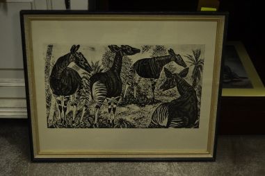 (P-1090)  Viiralti trükirepro Okaapid