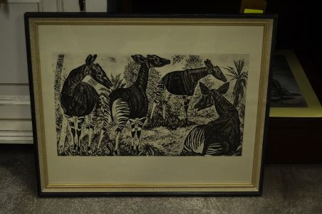 (P-1090)  Viiralti trükirepro Okaapid