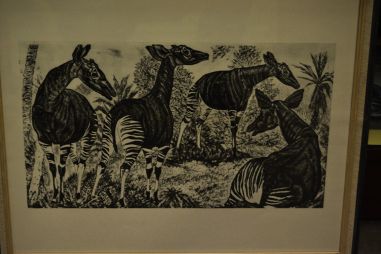 (P-1090)  Viiralti trükirepro Okaapid