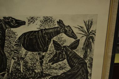 (P-1090)  Viiralti trükirepro Okaapid