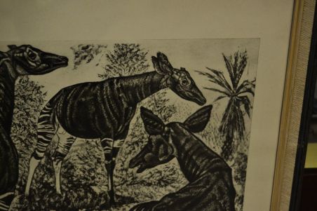 (P-1090)  Viiralti trükirepro Okaapid