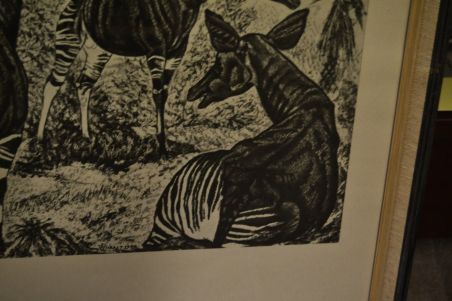 (P-1090)  Viiralti trükirepro Okaapid