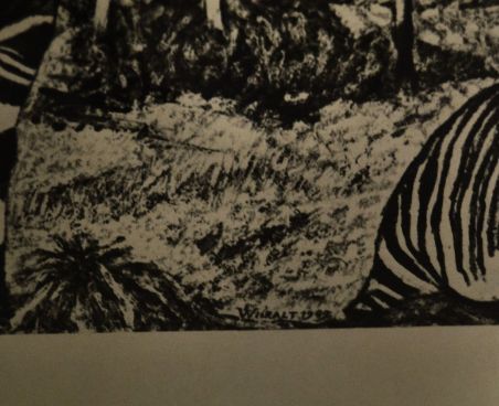 (P-1090)  Viiralti trükirepro Okaapid