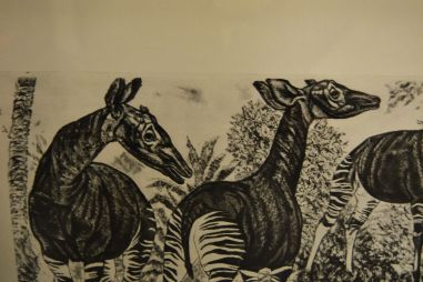 (P-1090)  Viiralti trükirepro Okaapid