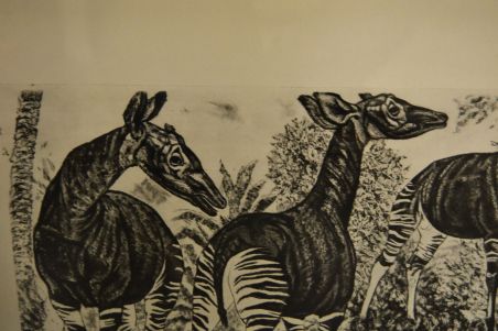 (P-1090)  Viiralti trükirepro Okaapid