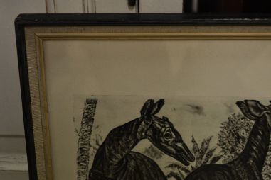 (P-1090)  Viiralti trükirepro Okaapid