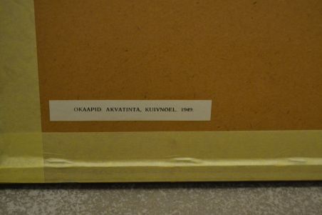 (P-1090)  Viiralti trükirepro Okaapid