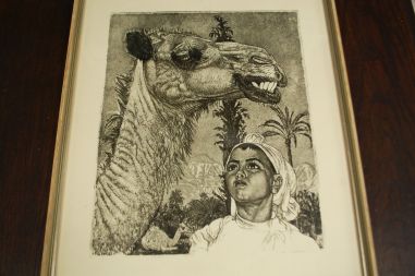 (P-1095) Viiralt, trükirepro Berberi tüdruk kaameliga