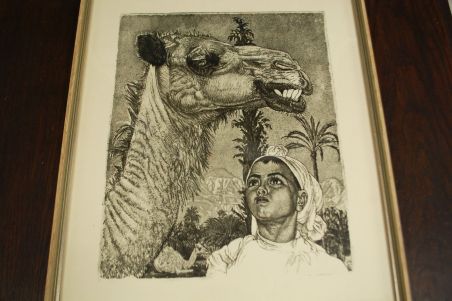 (P-1095) Viiralt, trükirepro Berberi tüdruk kaameliga