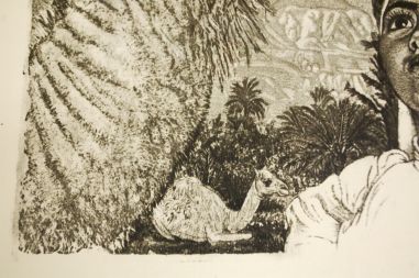 (P-1095) Viiralt, trükirepro Berberi tüdruk kaameliga