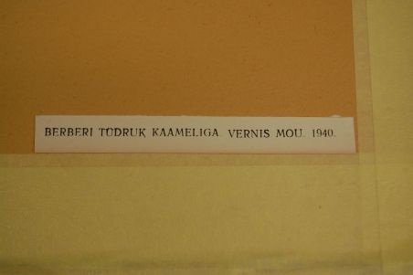 (P-1095) Viiralt, trükirepro Berberi tüdruk kaameliga
