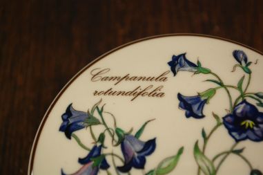 (n-7523/1) Villeroy & Boch Botanica toos Campanula rotundifolia