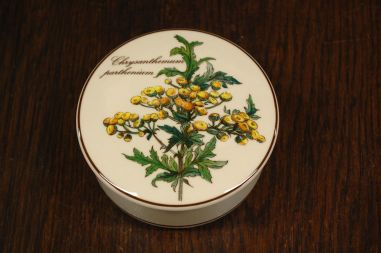 (n-7523/2) Villeroy & Boch Botanica toos Chrysanthemum parthenium