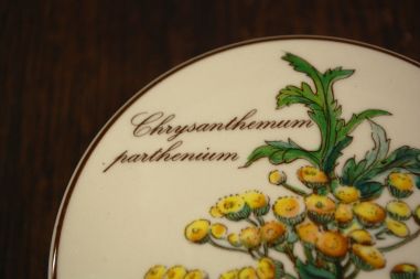 (n-7523/2) Villeroy & Boch Botanica toos Chrysanthemum parthenium