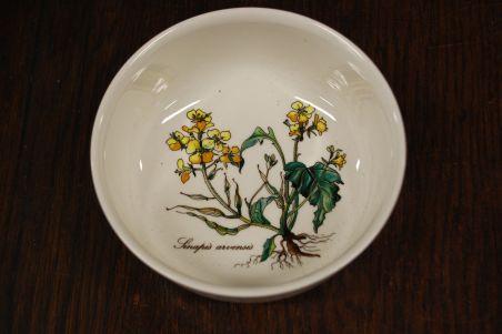 (n-7523/4) Villeroy & Boch Botanica kauss Linapis arvensis