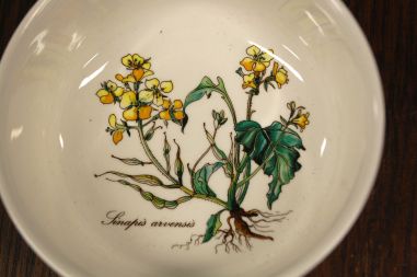 (n-7523/4) Villeroy & Boch Botanica kauss Linapis arvensis