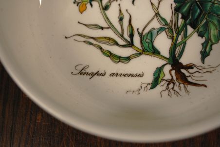 (n-7523/4) Villeroy & Boch Botanica kauss Linapis arvensis