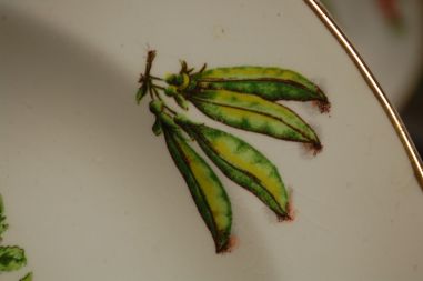 (n-7526/1) Moulin des Loups köögiviljadega supi-pastataldrikud, 6tk