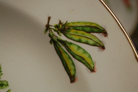 (n-7526/1) Moulin des Loups köögiviljadega supi-pastataldrikud, 6tk