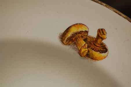 (n-7526/1) Moulin des Loups köögiviljadega supi-pastataldrikud, 6tk