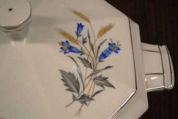 (n-7551) Victoria, viljapeadega tirin 2