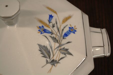 (n-7551) Victoria, viljapeadega tirin