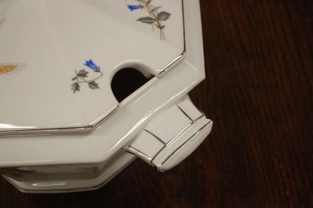 (n-7551) Victoria, viljapeadega tirin