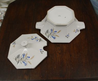 (n-7551) Victoria, viljapeadega tirin